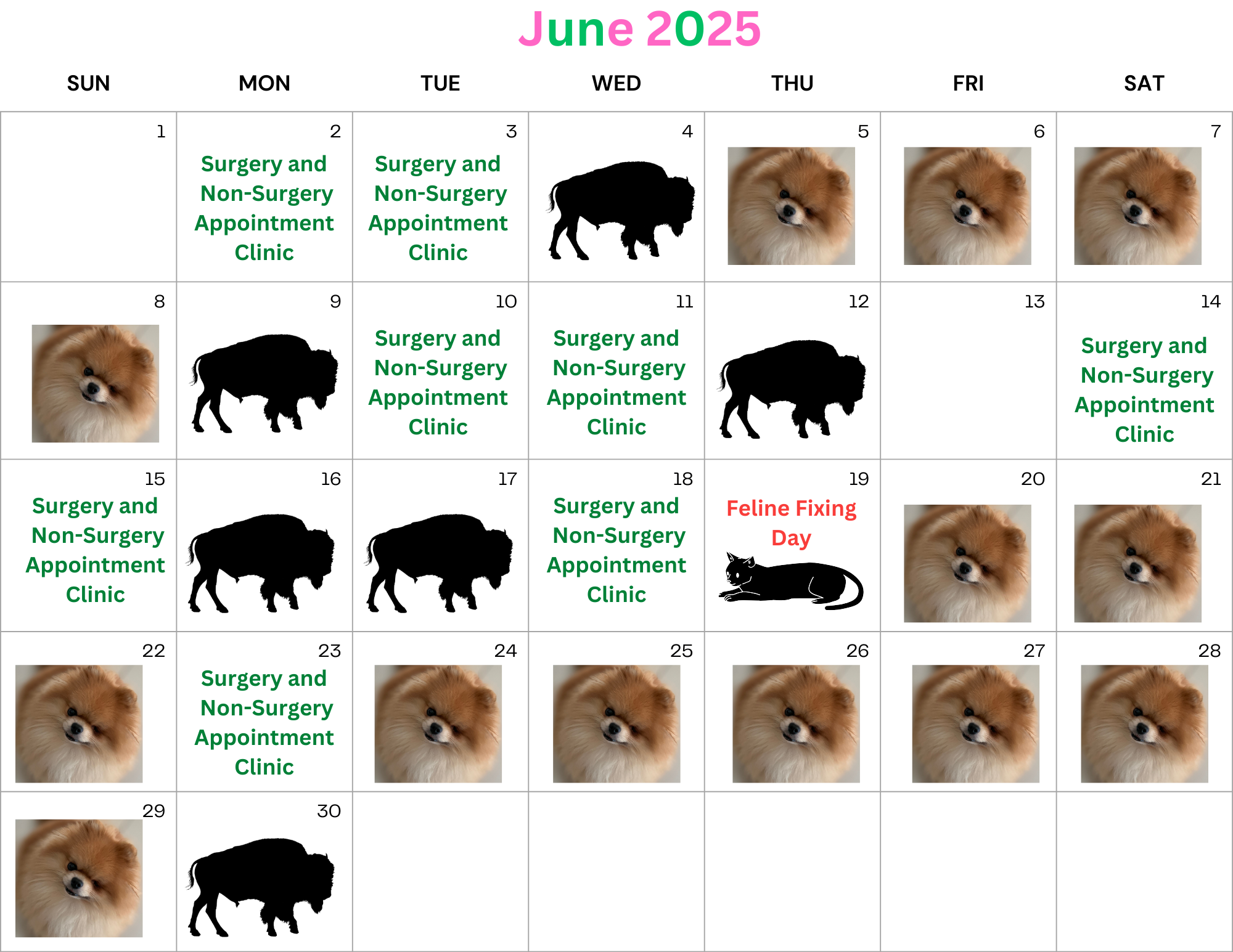 June Calendar